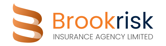 Brookrisk logo-03-orange